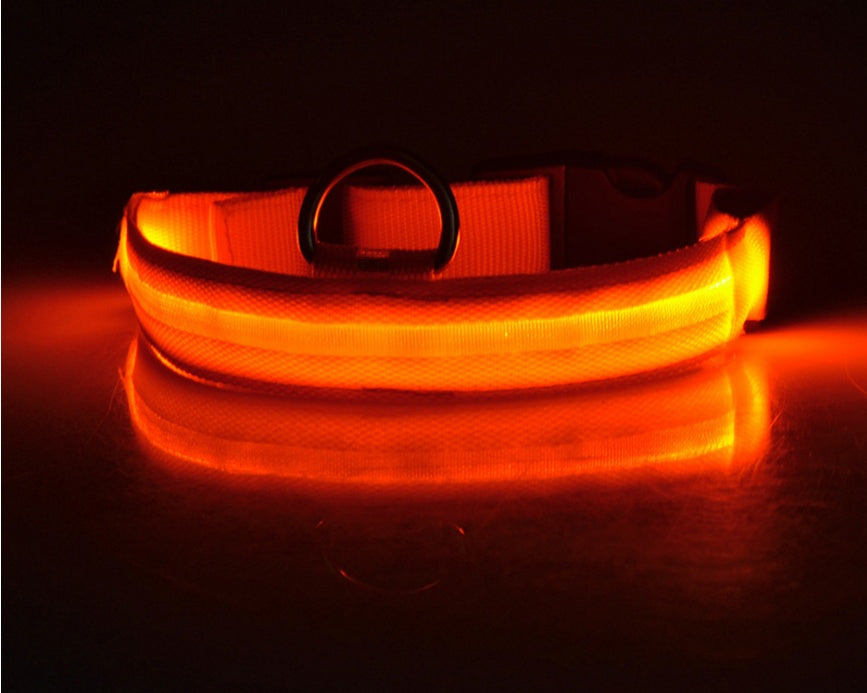 Collar Night Safety Flashing Glow in Dark Dog Leash Adjustable