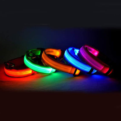 Collar Night Safety Flashing Glow in Dark Dog Leash Adjustable