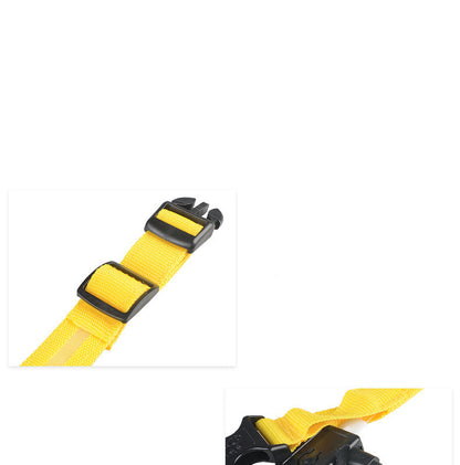 Collar Night Safety Flashing Glow in Dark Dog Leash Adjustable