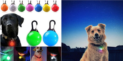 Adjustable LED Glowing Dog Collar Luminous Night Light Safety Harness for Large Small Dogs and Cats USB Rechargeable