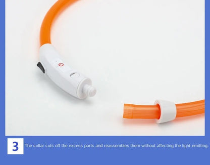 Adjustable LED Glowing Dog Collar Luminous Night Light Safety Harness for Large Small Dogs and Cats USB Rechargeable