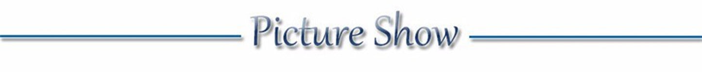 Adjustable LED Glowing Dog Collar Luminous Night Light Safety Harness for Large Small Dogs and Cats USB Rechargeable