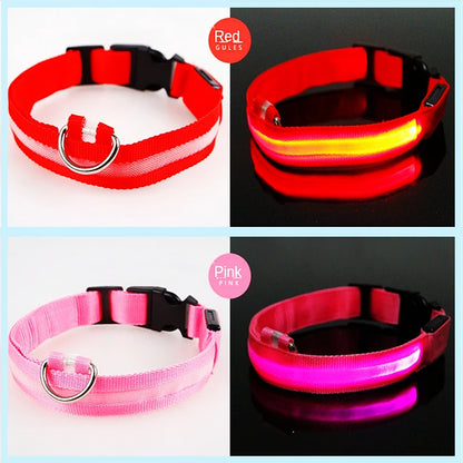 Adjustable LED Glowing Dog Collar Luminous Night Light Safety Harness for Large Small Dogs and Cats USB Rechargeable