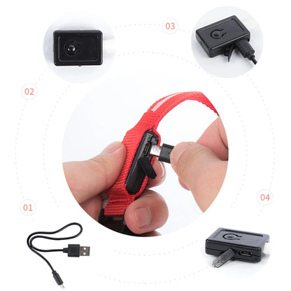 Adjustable LED Glowing Dog Collar Luminous Night Light Safety Harness for Large Small Dogs and Cats USB Rechargeable
