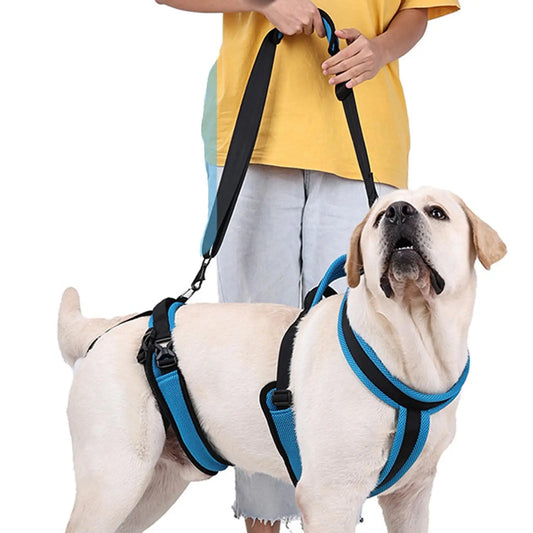 Dog Protective Leash