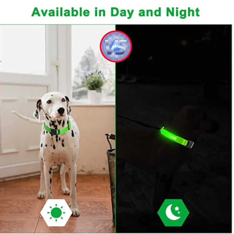 Adjustable LED Glowing Dog Collar Luminous Night Light Safety Harness for Large Small Dogs and Cats USB Rechargeable