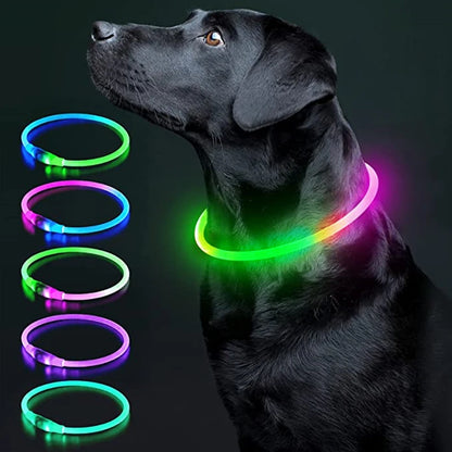 Adjustable LED Glowing Dog Collar Luminous Night Light Safety Harness for Large Small Dogs and Cats USB Rechargeable