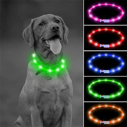 Adjustable LED Glowing Dog Collar Luminous Night Light Safety Harness for Large Small Dogs and Cats USB Rechargeable