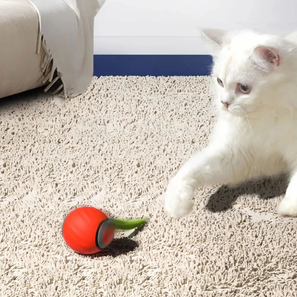 CatsFishBillie® Interactive Cat Toy