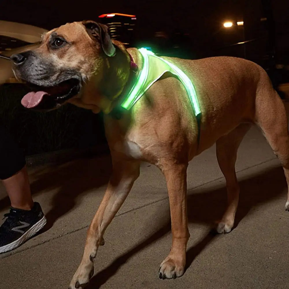 Adjustable LED Light Up Dog Harness Glowing Soft Pet Harness Leash Enhance Visibility Breathable LED Pet Collar
