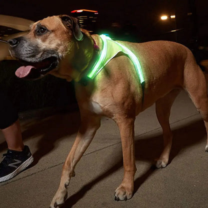 Adjustable LED Light Up Dog Harness Glowing Soft Pet Harness Leash Enhance Visibility Breathable LED Pet Collar