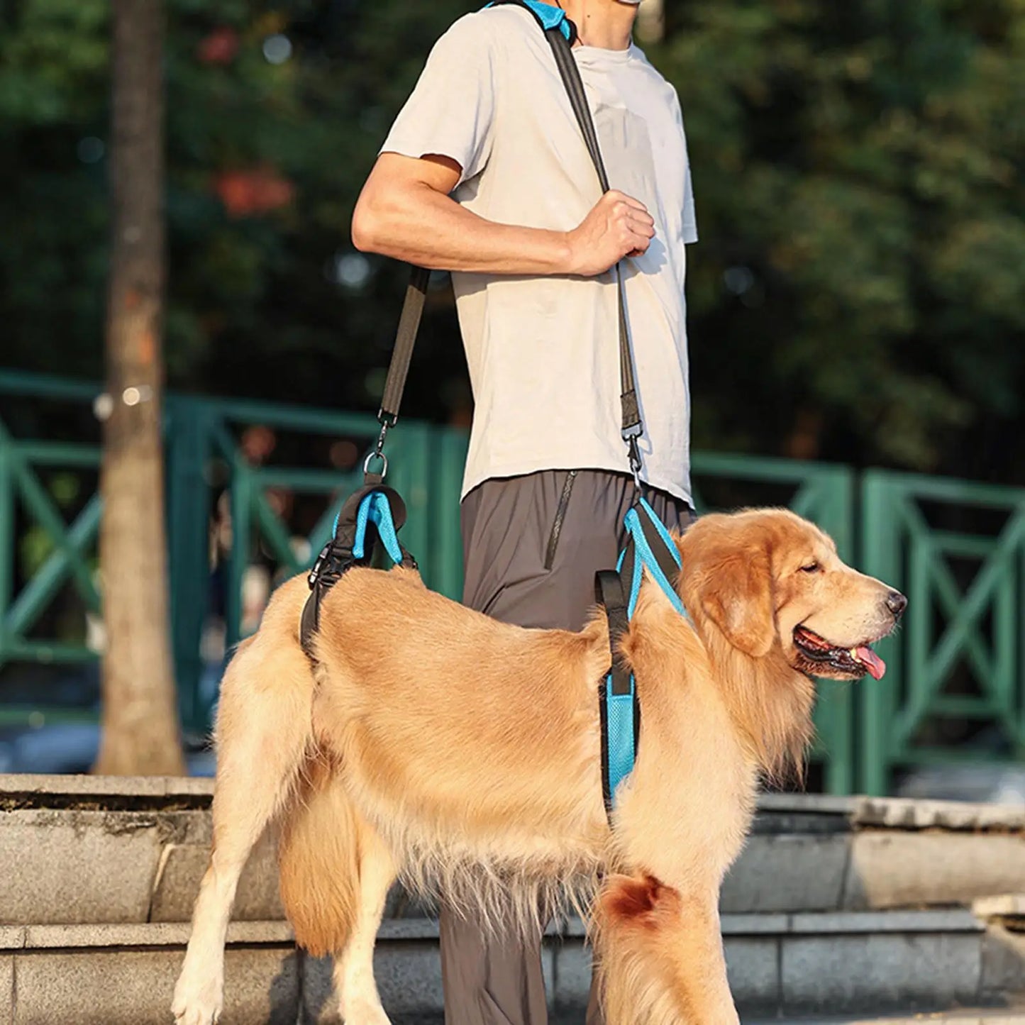Dog Protective Leash