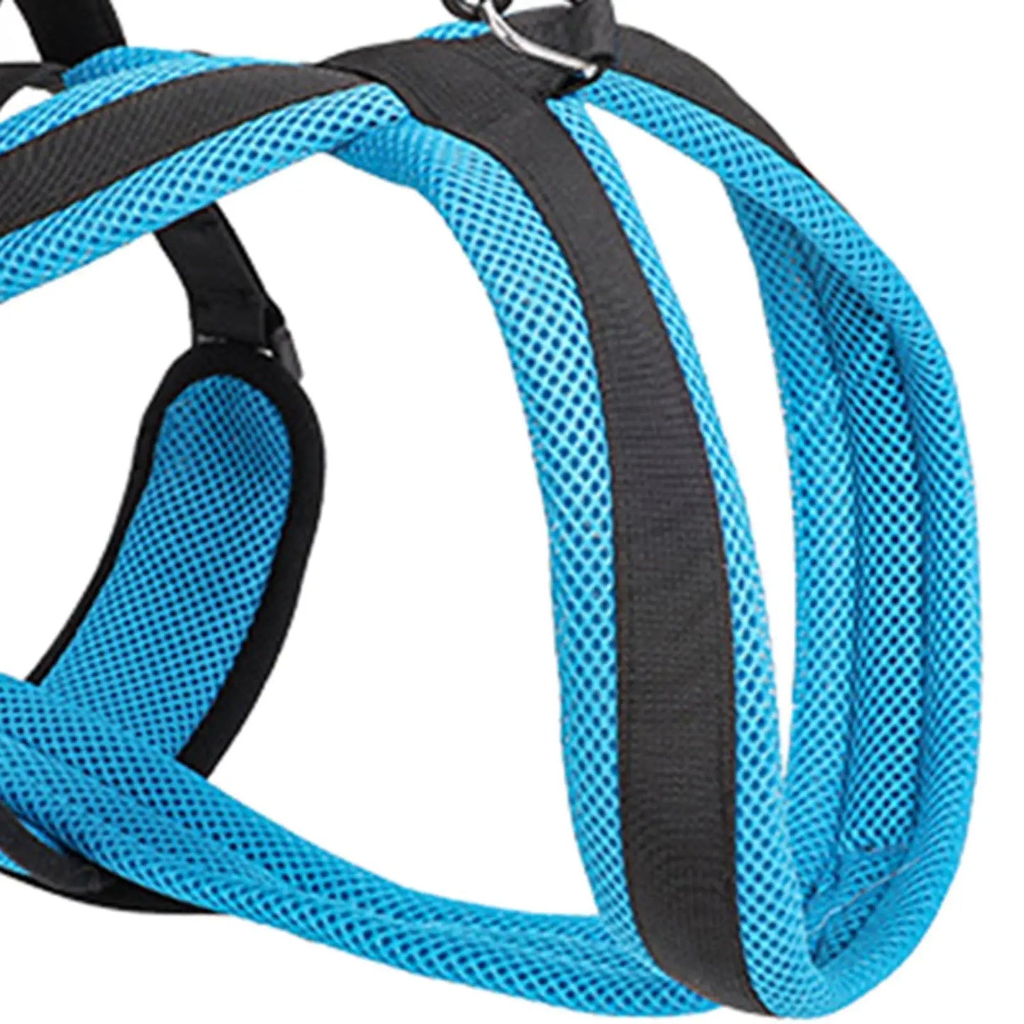 Dog Protective Leash