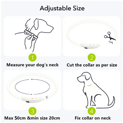 Adjustable LED Glowing Dog Collar Luminous Night Light Safety Harness for Large Small Dogs and Cats USB Rechargeable