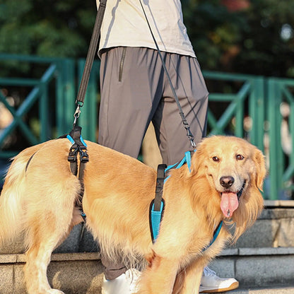 Dog Protective Leash