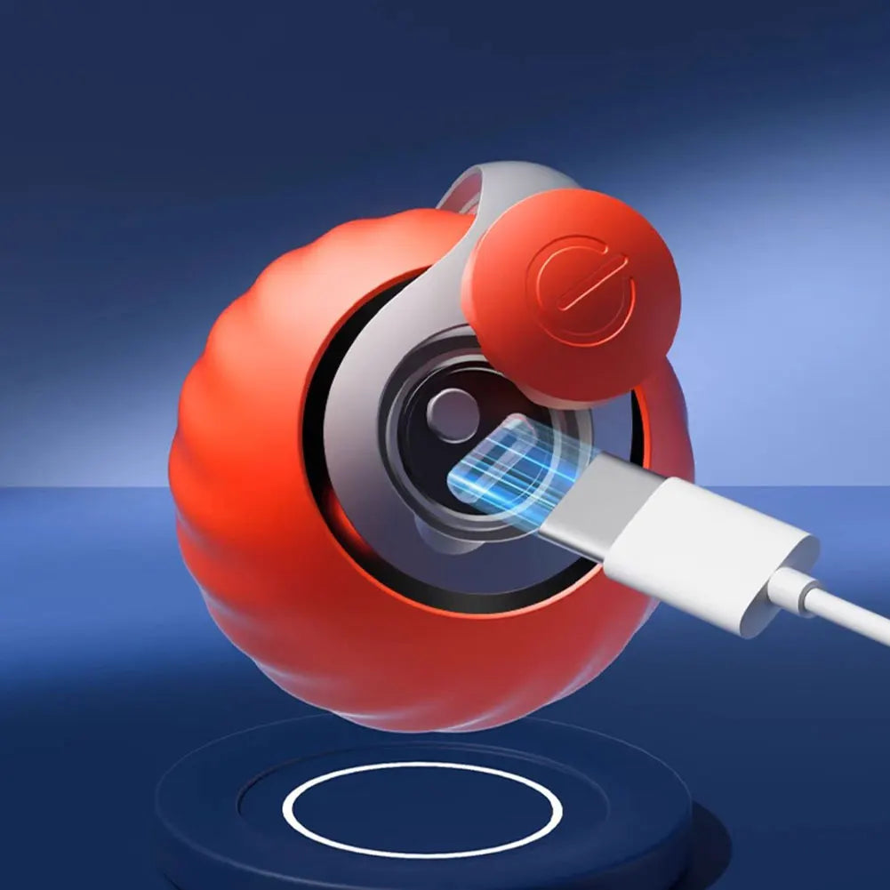 CatsFishBillie® Interactive Cat Toy