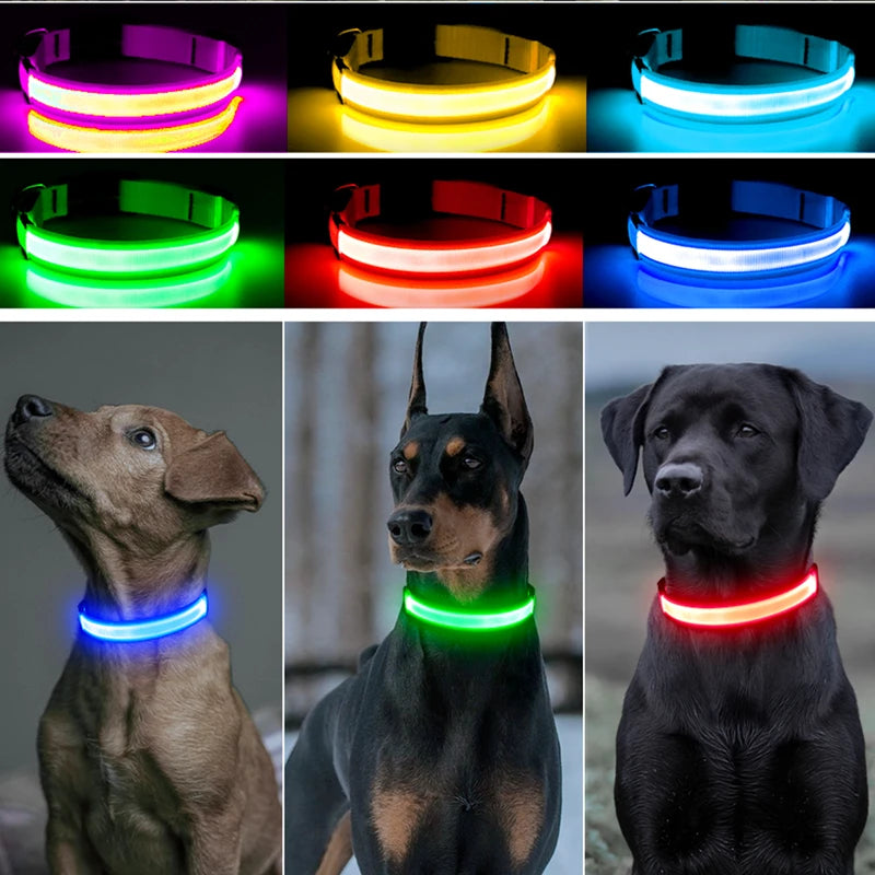 Adjustable LED Glowing Dog Collar Luminous Night Light Safety Harness for Large Small Dogs and Cats USB Rechargeable