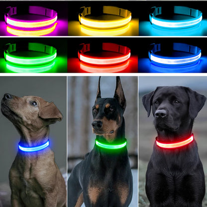 Adjustable LED Glowing Dog Collar Luminous Night Light Safety Harness for Large Small Dogs and Cats USB Rechargeable