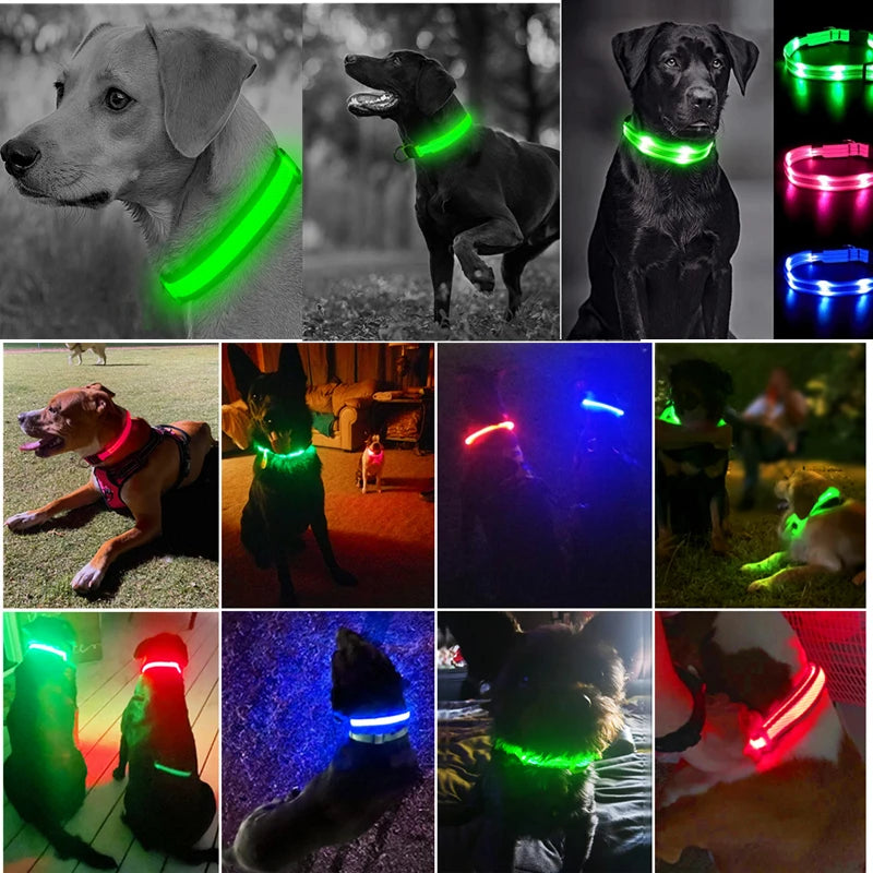 Adjustable LED Glowing Dog Collar Luminous Night Light Safety Harness for Large Small Dogs and Cats USB Rechargeable