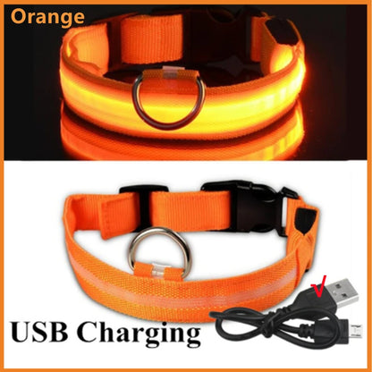 Adjustable LED Glowing Dog Collar Luminous Night Light Safety Harness for Large Small Dogs and Cats USB Rechargeable
