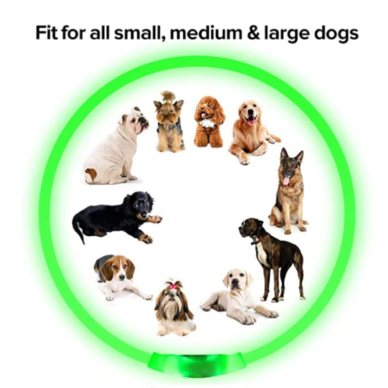 Adjustable LED Glowing Dog Collar Luminous Night Light Safety Harness for Large Small Dogs and Cats USB Rechargeable