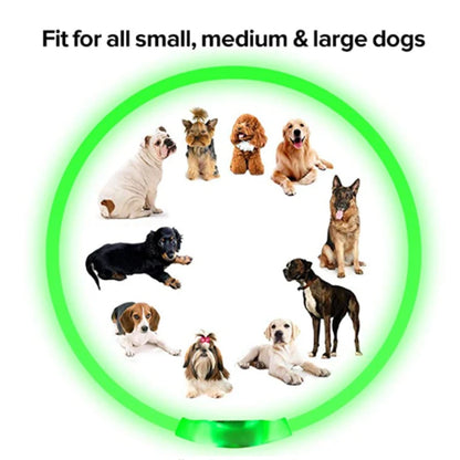 Adjustable LED Glowing Dog Collar Luminous Night Light Safety Harness for Large Small Dogs and Cats USB Rechargeable