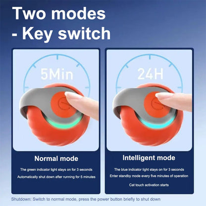 CatsFishBillie® Interactive Cat Toy