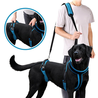 Dog Protective Leash