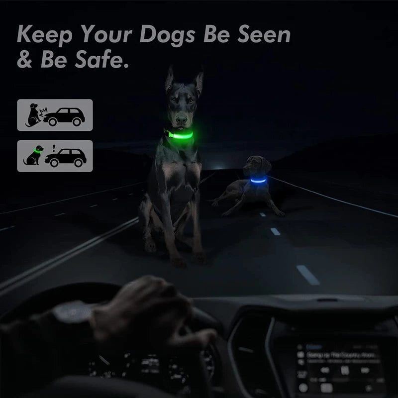 Adjustable LED Glowing Dog Collar Luminous Night Light Safety Harness for Large Small Dogs and Cats USB Rechargeable