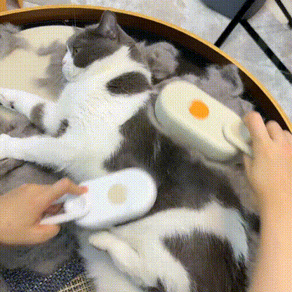 Catcare® Caring steam brush for your cat.