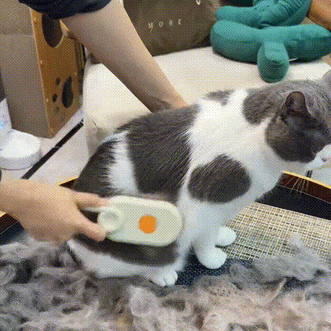 Catcare® Caring steam brush for your cat.