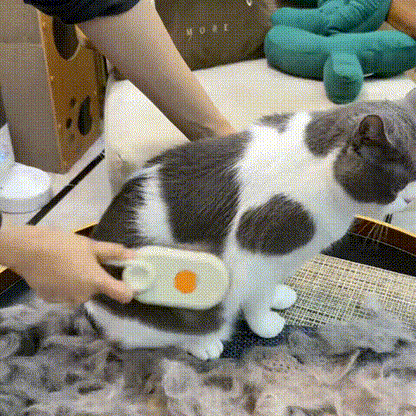 Catcare® Caring steam brush for your cat.